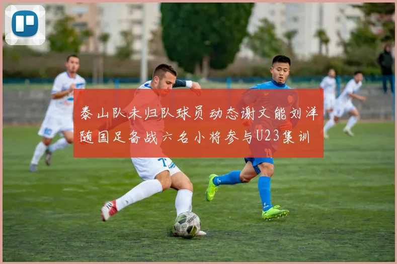 泰山队未归队球员动态谢文能刘洋随国足备战六名小将参与U23集训