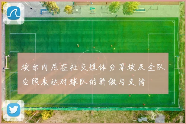 埃尔内尼在社交媒体分享埃及全队合照表达对球队的骄傲与支持