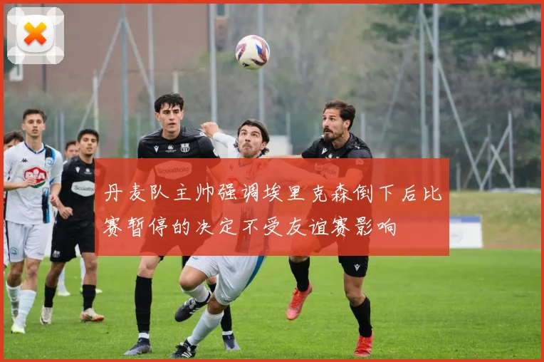 丹麦队主帅强调埃里克森倒下后比赛暂停的决定不受友谊赛影响